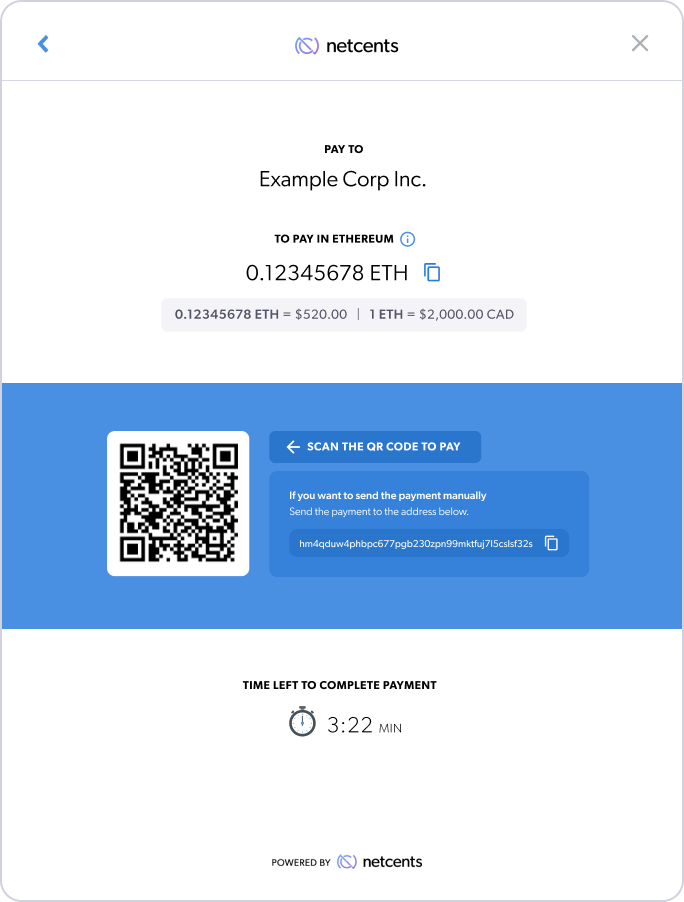 NetCents payment instructions screen.